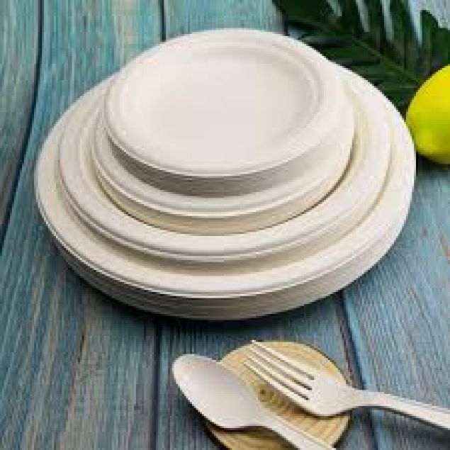 9" Paper Plate (Dinner) + Dinner Napkin